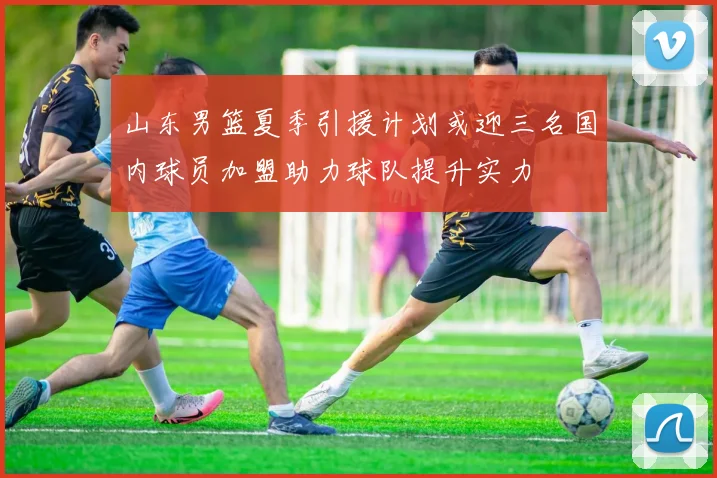 山东男篮夏季引援计划或迎三名国内球员加盟助力球队提升实力